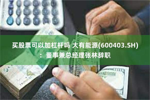买股票可以加杠杆吗 大有能源(600403.SH)：董事兼总经理张林辞职