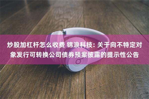 炒股加杠杆怎么收费 锦浪科技: 关于向不特定对象发行可转换公司债券预案披露的提示性公告