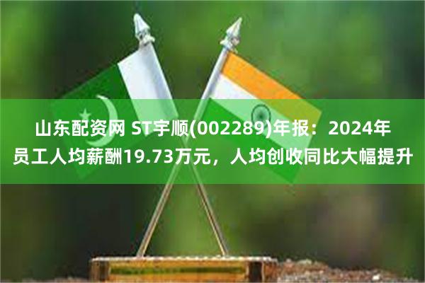 山东配资网 ST宇顺(002289)年报：2024年员工人均薪酬19.73万元，人均创收同比大幅提升