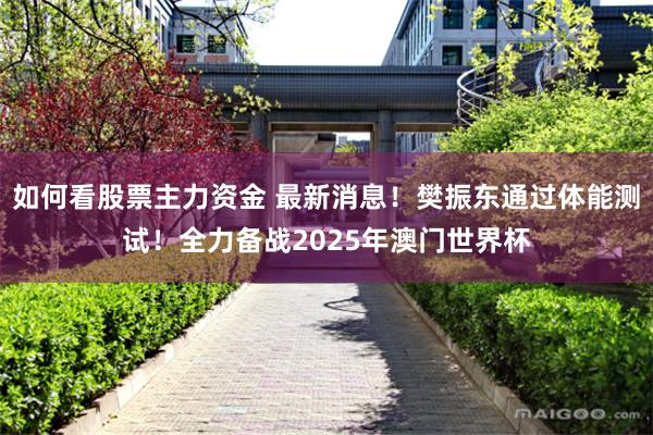 如何看股票主力资金 最新消息！樊振东通过体能测试！全力备战2025年澳门世界杯